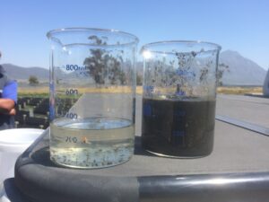 Activated sludge dewatering Activated sludge dewatering