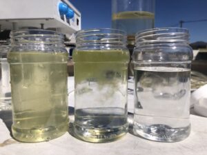 Algae water treatment Algae water treatment