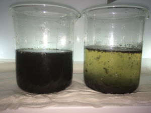 Livestock effluent Livestock effluent