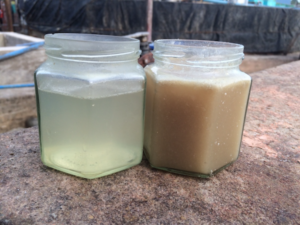 Rendering effluent Rendering effluent